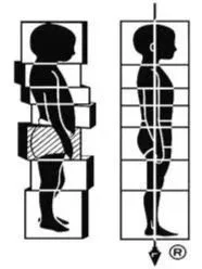 Traditional Rolfing® Structural Integration logo