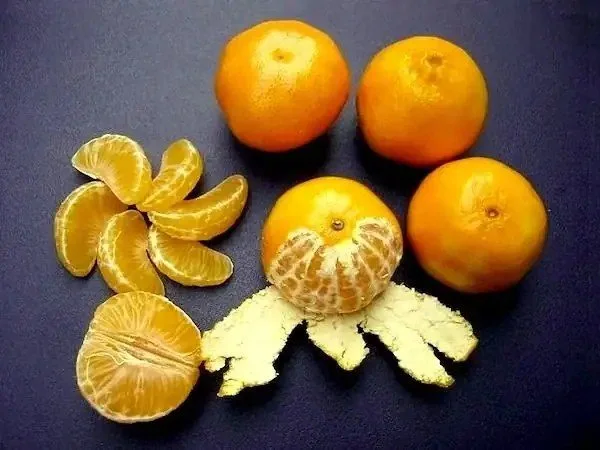 Peeled tangerine showing the white connective membranes that organize the fruit